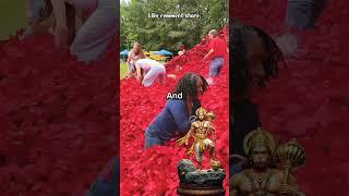 Find This Key, Win $10,000#trending #youtubeshorts #vuralvideo #mrbeast #youtuber #youtube #creator