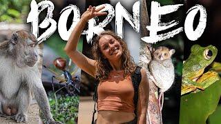 BORNEO Trailer - Durchquerung eines der atemberaubendsten Dschungel der Welt!