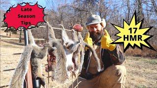 Cold Weather Squirrel Hunting | Late Season | 17 HMR