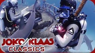 Bahamas: PANIK! Klaas wird vom Hai gebissen! | Duell um die Welt Classics | ProSieben