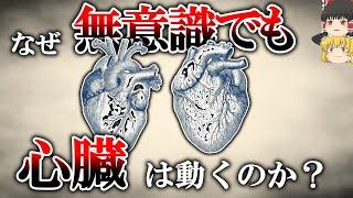 【疑問】なぜ人は死ぬまで無意識でも生き続けられるのか【ゆっくり解説・雑学】