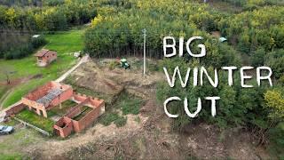 #138 What we did in winter (big chopping operation) + Challenges