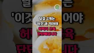 매일 아침 계란 2개를 이것과 먹으면 일어나는 놀라운 효과 #건강