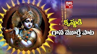 Gaanamurthe Song || Lord Shree Krishna Song || BIG TV Bhakthi