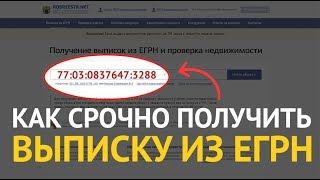 Выписка из ЕГРН - как срочно получить выписку ЕГРН из Росреестра