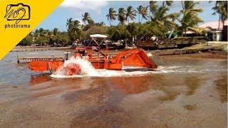 Sargassum Seaweed Clean Up At Trellis Bay Beef Island BVI  | 2017