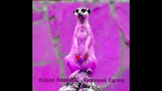 Gabriel Riddimsk - Грустный Суслик
