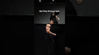 My 6 day workout split 