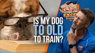 Is my dog too old to start training & learn new trick? Training older Dogs and puppies
