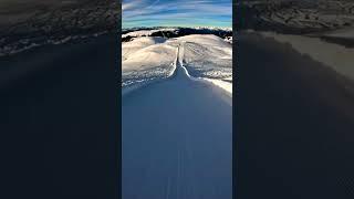 ️  Speedtrap in Alpe do Siusi