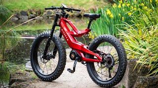 Top 10 Fat Tire Electric Bikes for 2024