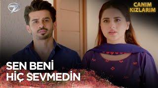 Daniş, Fiza'nin Kalbini Kırdı - Canım Kızlarım - Betiyaan | Pakistan Dizisi 17.Bölüm