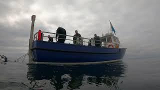 Mansfield Seahorse Divers Go Scuba Diving To Seahouses 2021