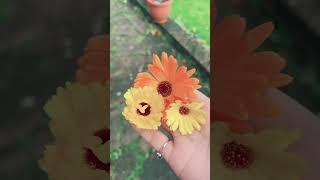 Calendula: a healing herb known for skin soothing, anti-inflammatory, and antibacterial benefits