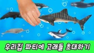 Let's have a party for Gray whaleㅣanimation for kids in english, sea animal namesㅣCoCosToy