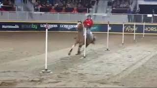 Pole Bending Training Tips and Exercises on 'The Horse Trainers' - The Cowboy Channel Canada