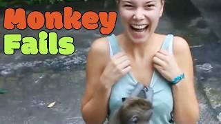 Funny Monkey Fails | Wild Monkeys! 