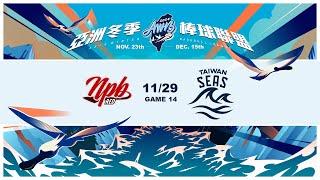 11/29 日職紅隊 VS 台灣海洋 全場精華