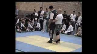 Iran MMA seminar.Master Hayk Ghukasyan.Technique 12 HD