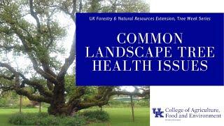 Tree Week: Landscape Tree Health Issues