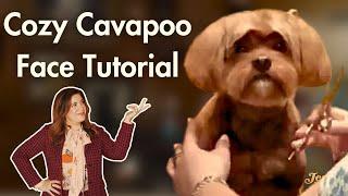 Cozy Cavapoo Face Tutorial