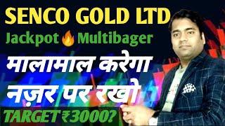 Senco gold share latest news | Senco gold share analysis | Senco gold share price target 