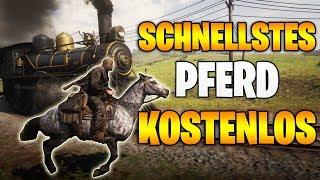 Red Dead Redemption 2: Das SCHNELLSTE Pferd kostenlos fangen | Fundort Englisches Vollblut (Story)