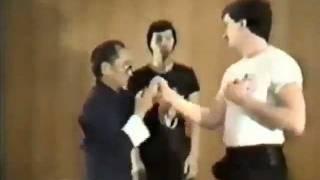 Preview: Ip Chun - Original Wing Chun