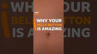 Do you have an innie or an outie? #BellyButton #Anatomy #BBCIdeas