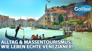Geheimtipps und das Leben inmitten des Massentourismus: Wie leben echte Venezianer?