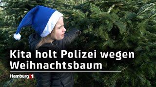 Aus Religionsfreiheit: Kita will keinen Weihnachtsbaum und bekommt heimlich einen