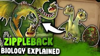 Zippleback Biology  | Mysteries of HTTYD’s Two-Headed Beast