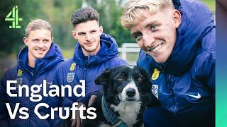 CARNAGE As England's Rice, Gordon & Gallagher Team Up With Dogs