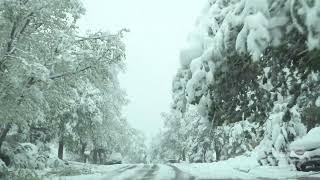 05-21-2022 Colorado Springs, Colorado - Damaging Snowstorm