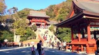 Tsurugaoka Hachimangu Shrine in Japan.