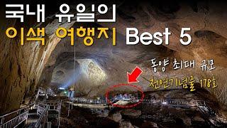 무려 2천만명 다녀간, 보고도 믿기지 않는 국내 이색 여행지 Best 5 | 국내여행 | 일일여행