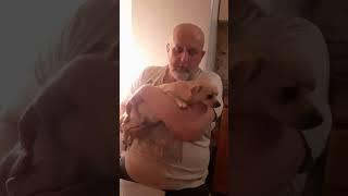 Любовь Большого Брата
