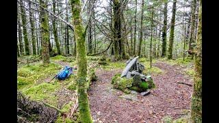 Mount Guyot - Great Smoky Mountains National Park, TN