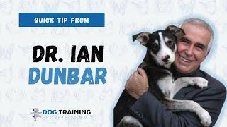 Dr Ian Dunbar | How to accelerate dog training | Pet Summits