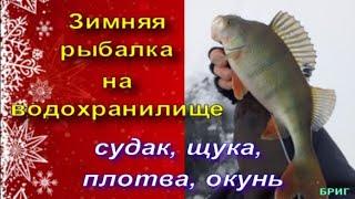 Зимняя рыбалка на водохранилище . Судак, щука, плотва, окунь .