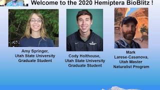 Video 1 - Welcome to BioBlitz 2020