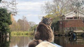 Grateful Paws and Kayak Adventures: Thanksgiving with Louis