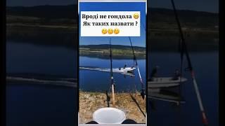 Як таких назвати ? #fishing #рибалка #carpfishing #риболов #риба #риболовля #відпочинок