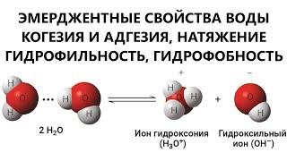 ЭМЕРДЖЕНТНЫЕ СВОЙСТВА ВОДЫ. КОГЕЗИЯ И АДГЕЗИЯ. ГИДРОФИЛЬНОСТЬ И ГИДРОФОБНОСТЬ. - ЕГЭ ПО БИОЛОГИИ