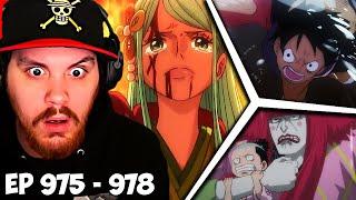 One Piece Episode 975, 976, 977, 978 Reaction - A 20 YEAR BETRAYAL