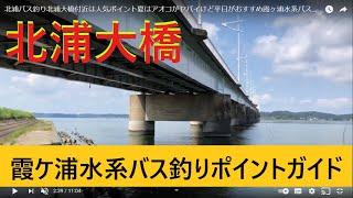 北浦バス釣り北浦大橋付近は人気ポイント夏はアオコがヤバイけど平日がおすすめ霞ヶ浦水系バス釣りポイントガイド2020年8月4日