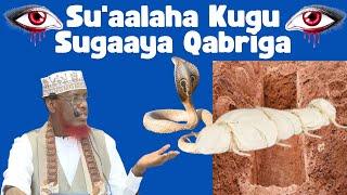 Su'aalaha Kugu Sugaaya Qabriga Sh Maxamed Umal