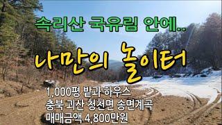 [국립공원내 유일한 사유지]송면계곡,속리산 국립공원 안에  나만의 놀이터#괴산땅#충북땅#청천면땅#괴산토지매매#충청도땅매매#충북토지매매#청주부동산#청천면토지매매#시골땅#시골집