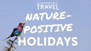 Responsible Travel: Nature-Positive Holidays