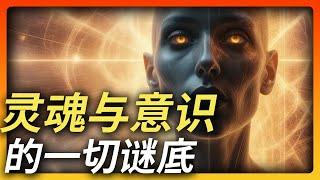 看完你会更珍惜生命 | 灵魂的载体 | 谁创造了灵魂 | 灵魂竞争| 灵童转世 | 寄生 | 梦是灵魂出窍么